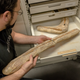 Illustration for article titled How The AMNH Is Using 3D Printing To Copy Dinosaur Bones